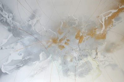 Biham De Pegasus by Margarita Garces framed wall art