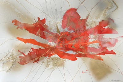 Acreus by Margarita Garces framed wall art