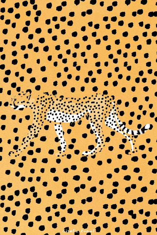 Cheetah