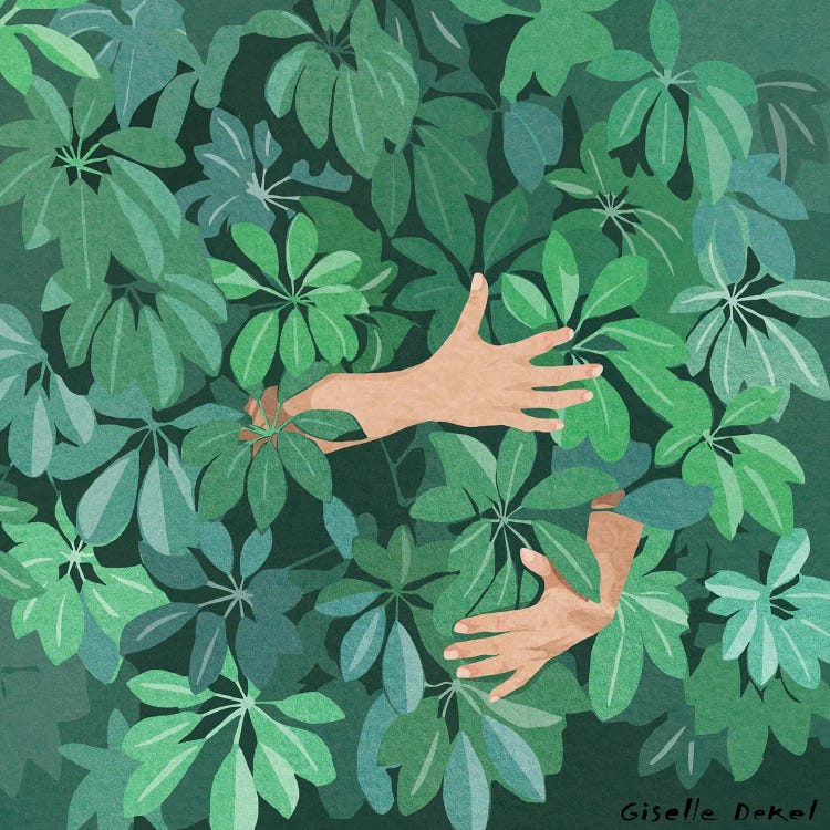 Plant Lover by Giselle Dekel wall art