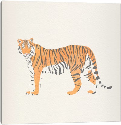 Tiger Canvas Art Print - Giselle Dekel