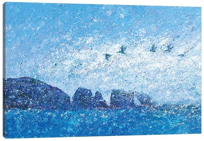 Anacapa Islands Mist Canvas Art Print - Gerardo Segismundo