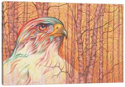 Raptor's All Psyched Up Canvas Art Print - Buzzard & Hawk Art