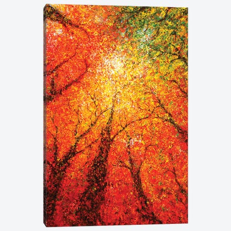 Autumn Glimmer Canvas Print #GSM31} by Gerardo Segismundo Canvas Wall Art