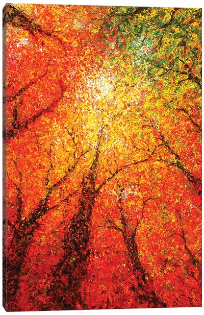 Autumn Glimmer Canvas Art Print - Gerardo Segismundo