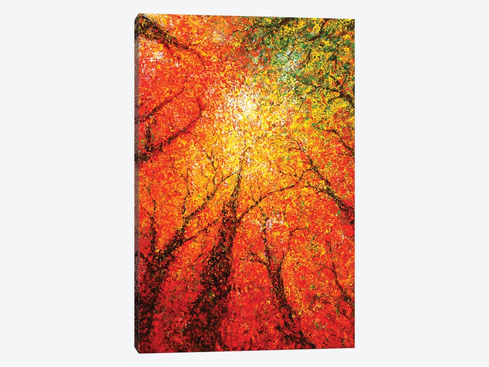 Autumn Glimmer by Gerardo Segismundo 1-piece Canvas Artwork