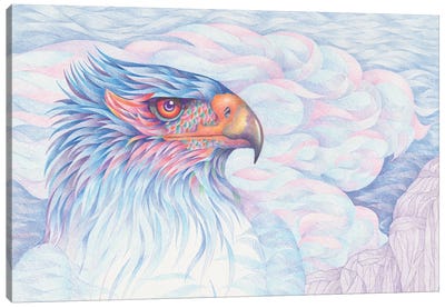 Raptor Is Bored Canvas Art Print - Buzzard & Hawk Art