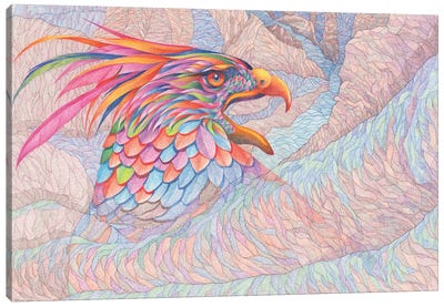 Raptor's Scream Canvas Art Print - Buzzard & Hawk Art