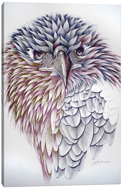 Dominance Canvas Art Print - Eagle Art