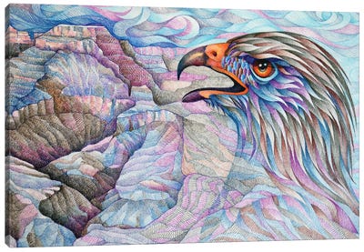 Raptor's Mad Canvas Art Print - Buzzard & Hawk Art