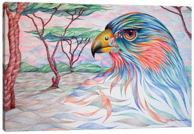 Unintimated Raptor Canvas Art Print - Buzzard & Hawk Art