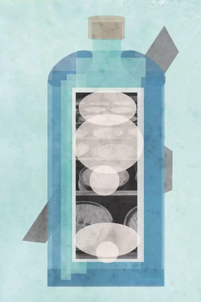 Minimalist Décor: Bluebird by 5by5collective