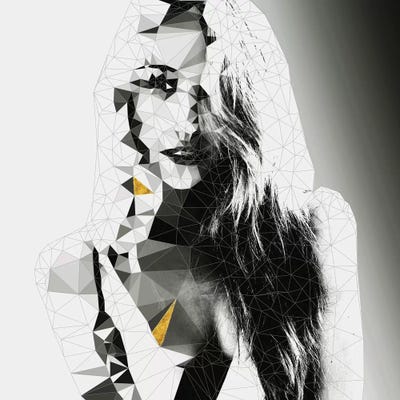 All The Right Shapes by 5by5collective framed canvas print