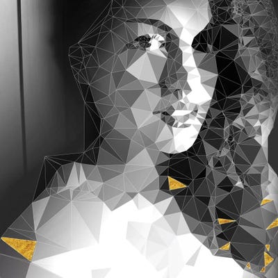 She Is Looking Through The Glass by 5by5collective framed canvas print