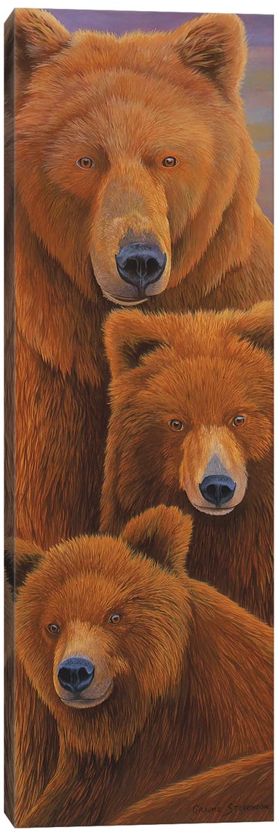 Alaska Coming I Canvas Art Print - Brown Bear Art