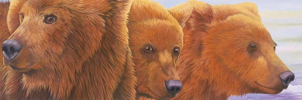Brown Bears: Alaska Coming II by Graeme Stevenson