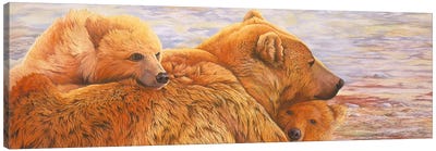 Alaska Coming III Canvas Art Print