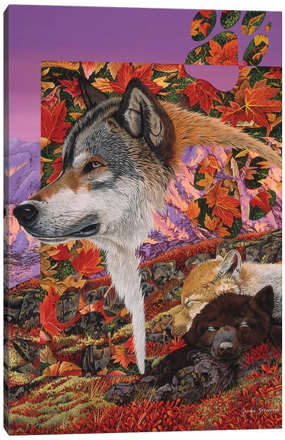 Alaska Dreaming Canvas Art Print - Wolf Art