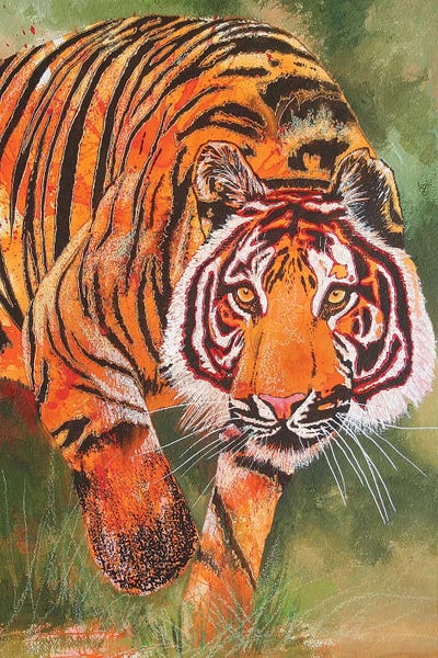 Tigers: And Then Suddenly by Graeme Stevenson