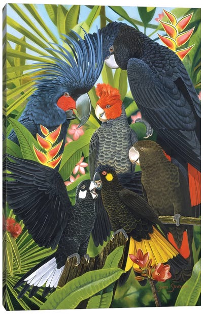 Back In Black Canvas Art Print - Parrot Art