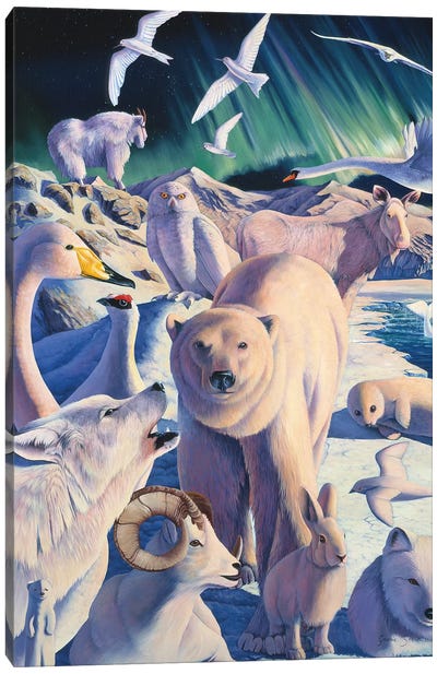 Arctic Mysteries Canvas Art Print - Polar Bear Art