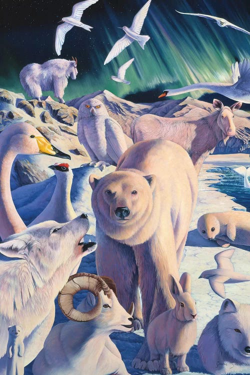 Arctic Mysteries