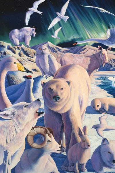 Polar Bears: Arctic Mysteries by Graeme Stevenson