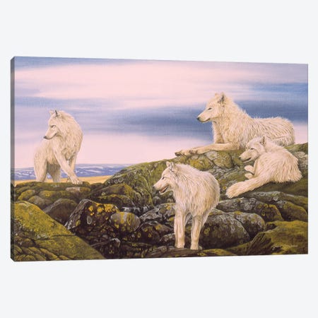 Arctic Wolves Canvas Print #GST112} by Graeme Stevenson Canvas Art Print