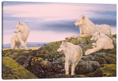 Arctic Wolves Canvas Art Print - Graeme Stevenson