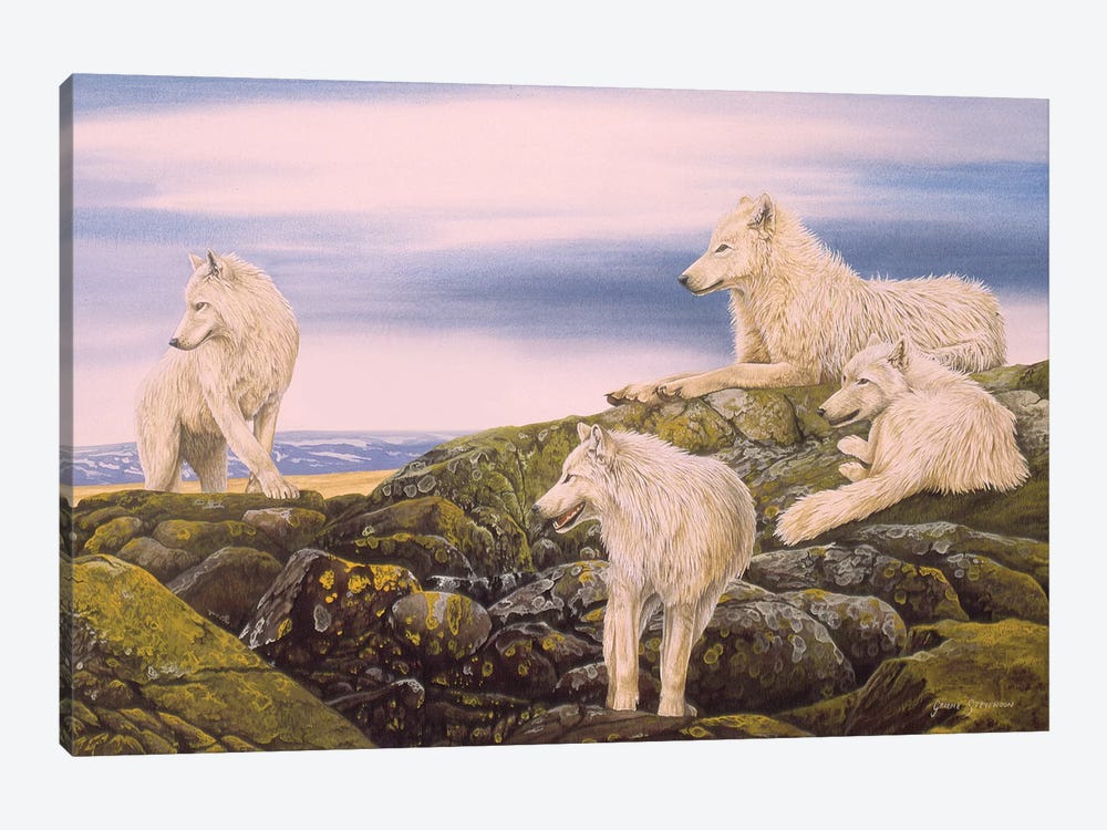 Arctic Wolves by Graeme Stevenson 1-piece Canvas Artwork