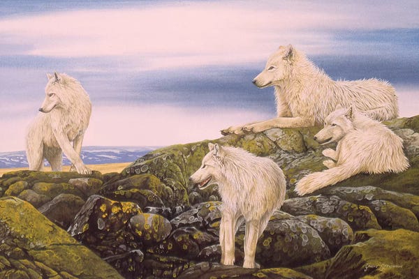 Arctic Wolves