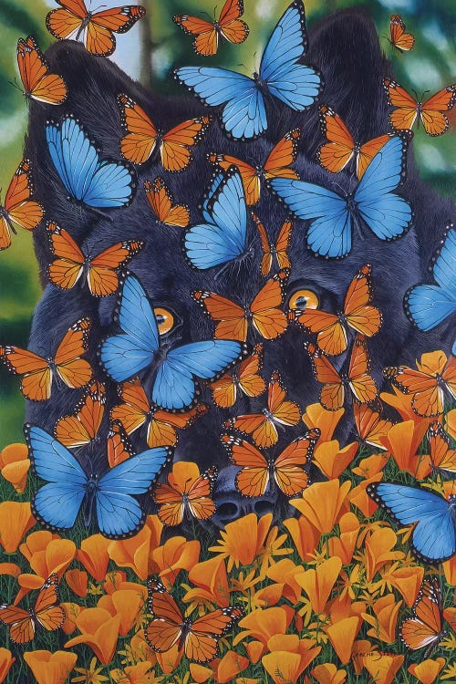 Autumn Butterflies by Graeme Stevenson wall art
