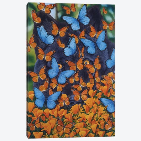 Autumn Butterflies Canvas Print #GST115} by Graeme Stevenson Canvas Wall Art