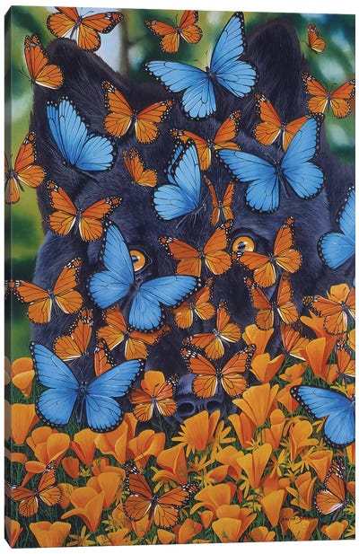 Autumn Butterflies Canvas Art Print - Graeme Stevenson