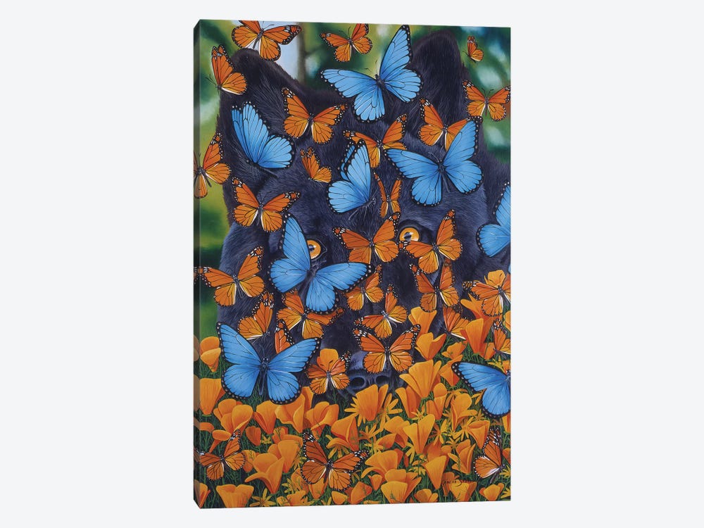 Autumn Butterflies by Graeme Stevenson 1-piece Canvas Print