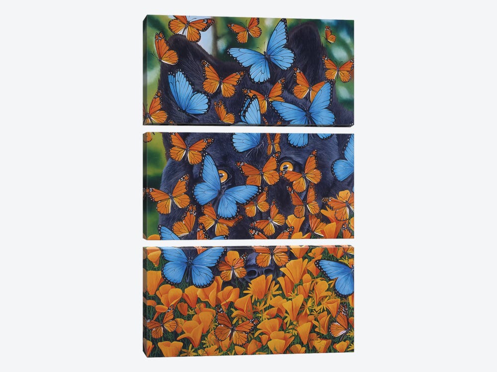 Autumn Butterflies by Graeme Stevenson 3-piece Canvas Art Print