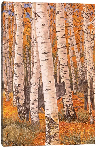 Autumn Eyes Canvas Art Print - Graeme Stevenson