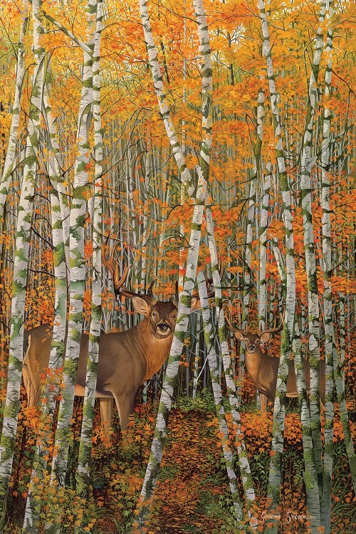 Autumn Stags by Graeme Stevenson wall art