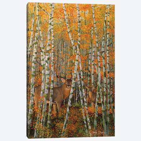 Autumn Stags Canvas Print #GST117} by Graeme Stevenson Canvas Art