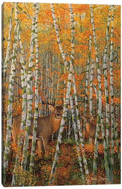 Autumn Stags Canvas Art Print - Graeme Stevenson