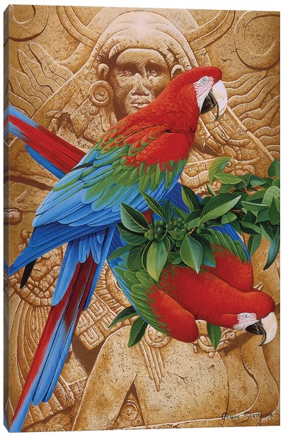 Aztec Rainbow Canvas Art Print - Graeme Stevenson