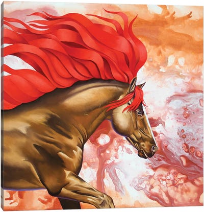 Blood Of The Stallion Canvas Art Print - Graeme Stevenson