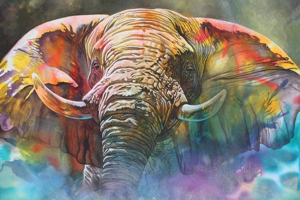 Elephants: Back Off Large by Graeme Stevenson