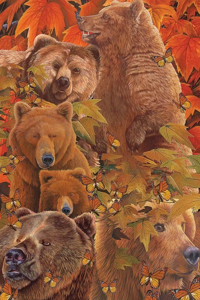 Brown Bears: Bears Are There by Graeme Stevenson