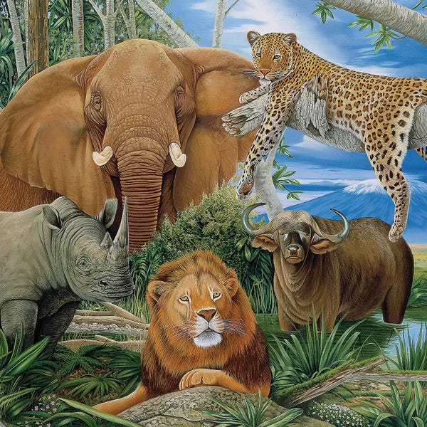 Cheetahs: Big Five by Graeme Stevenson