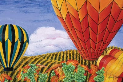 California Balloons by Graeme Stevenson framed wall art