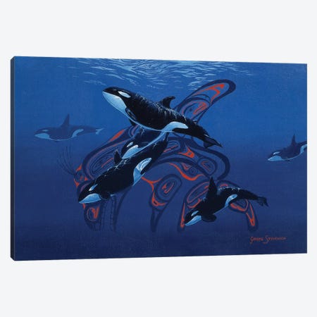 Blue Orcas Canvas Print #GST131} by Graeme Stevenson Canvas Art Print