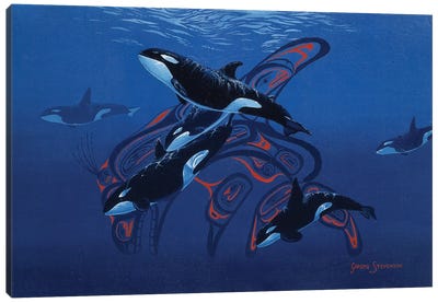 Blue Orcas Canvas Art Print - Graeme Stevenson