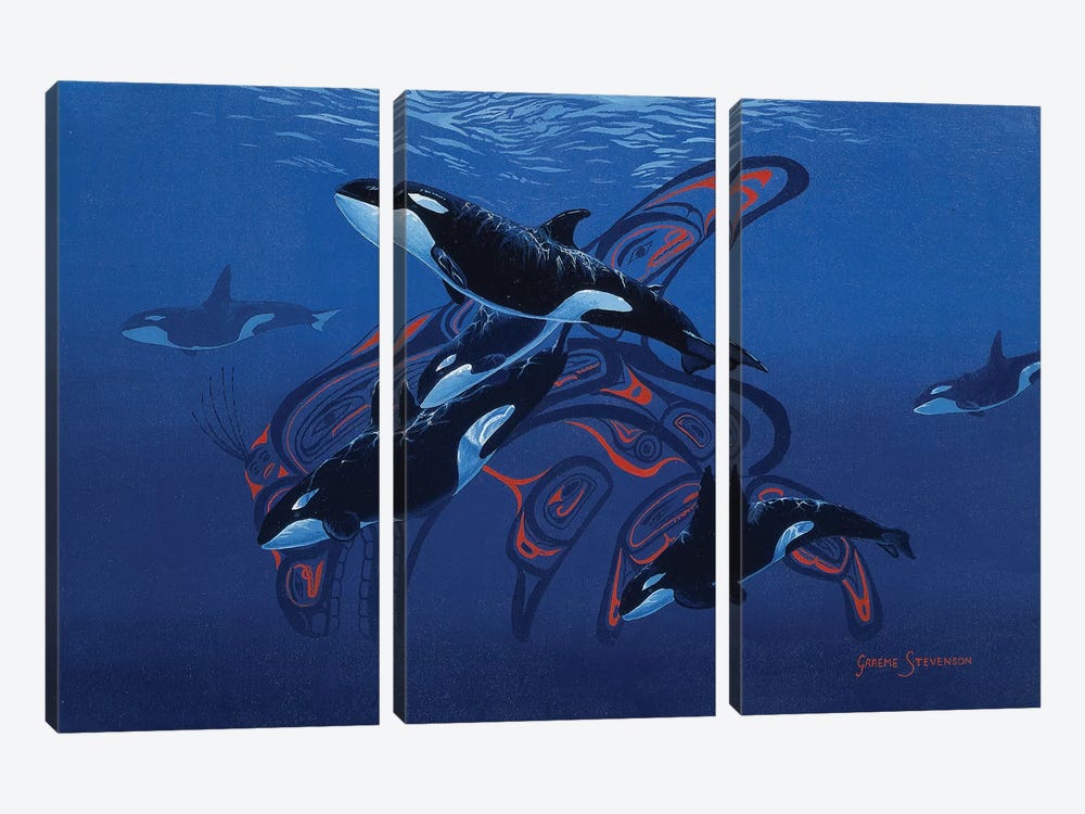 Blue Orcas by Graeme Stevenson 3-piece Canvas Art Print