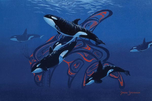 Blue Orcas